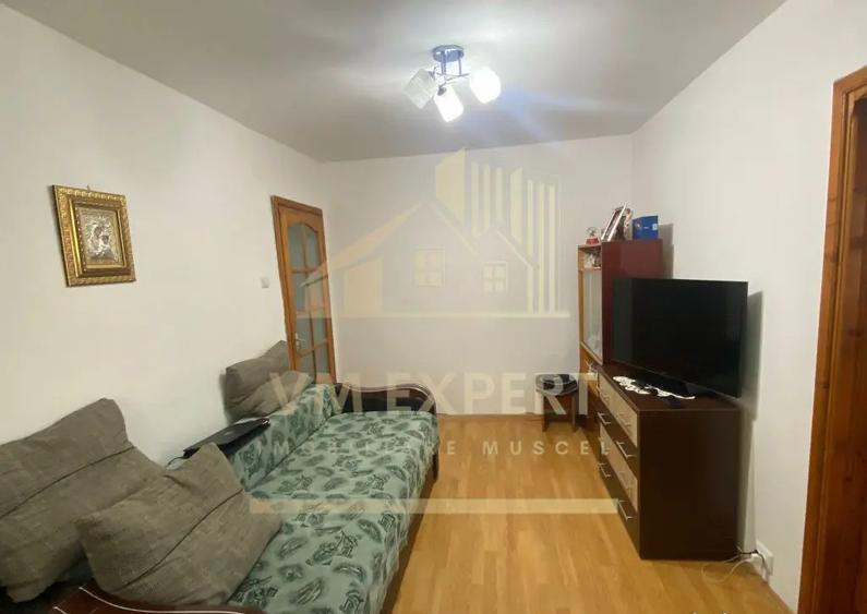 APARTAMENT 2 CAMERE ETAJ 2 ZONA VI?OI CAMPULUNG - 12