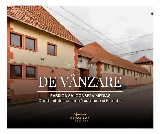 Fabrică de vânzare în Mediaș -Activ industrial cu istorie si potential