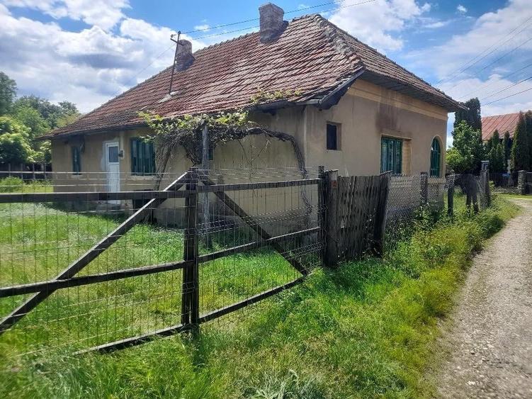 Casa Stalpeni 1958 , curte 940mp - 1
