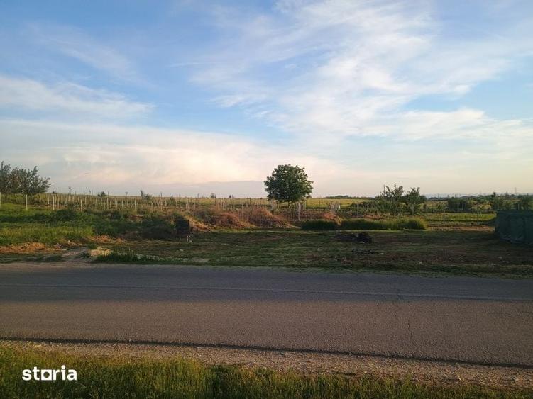 Vand teren intravilan zona artego 1800 mp - 3