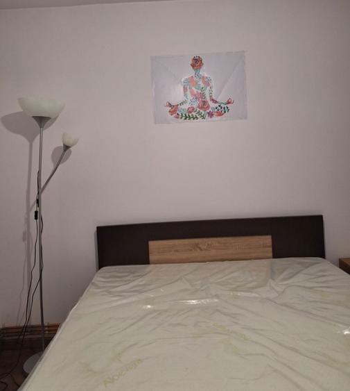 Inchiriez apartament 3 camere Calea Bucuresti - 2