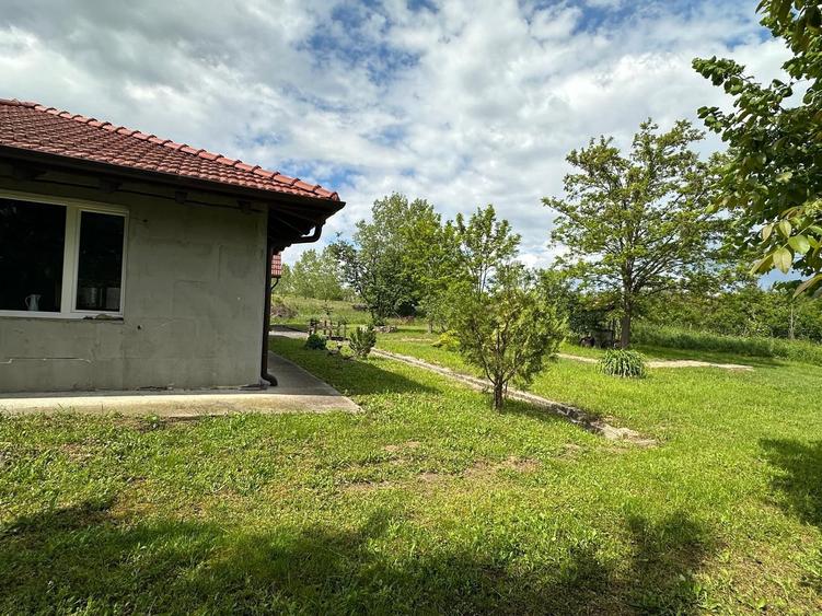 Casa Pensiune in Viile Satu Mare teren 1,63 ha, 11 camere, 10 bai - 14