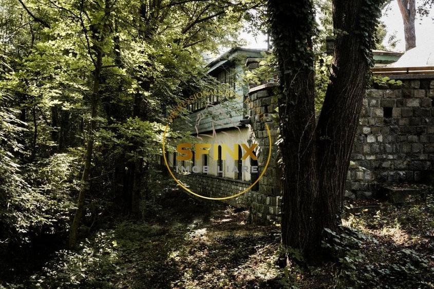 Vila Zoldy, 21.823 mp teren cu iesire catre paraul Prahova - 13