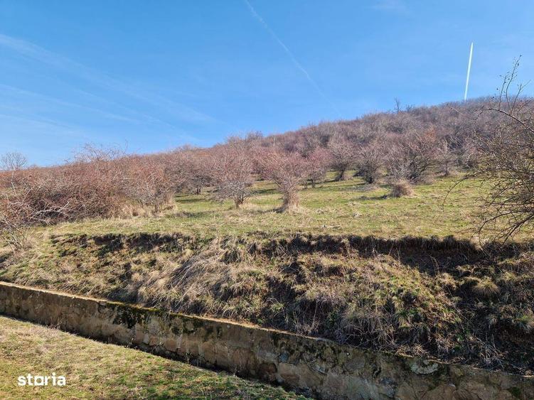 Teren extravilan, zona si priveliste superba, Cuvin - 5