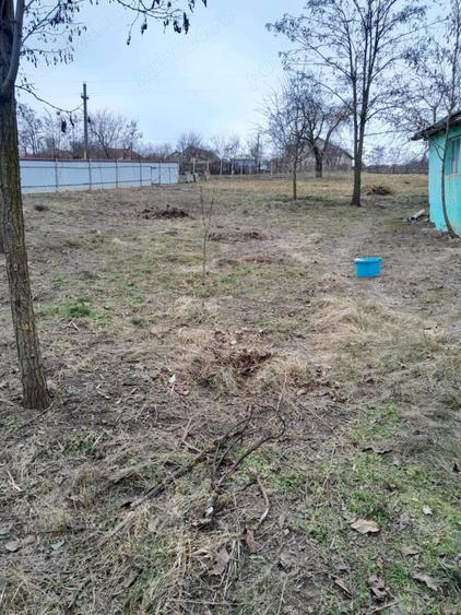 Vand casa batraneasca - 4