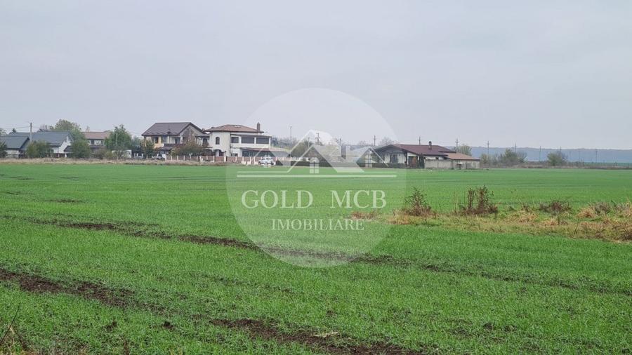 Teren Branesti -Romancierilor - 3