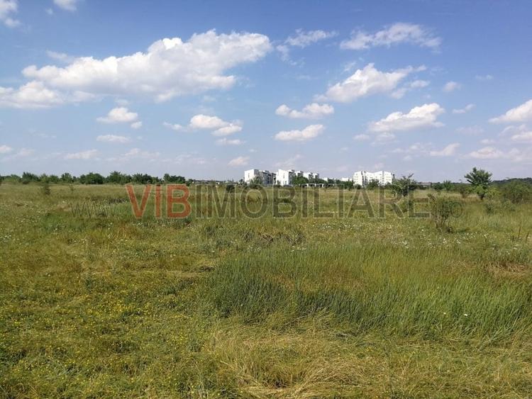 Baneasa - Piscul Reghiului, teren intravilan, suprafata 727 mp - 1