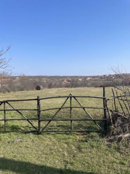 Teren intravilan de vânzare Sacosu Mare - 2