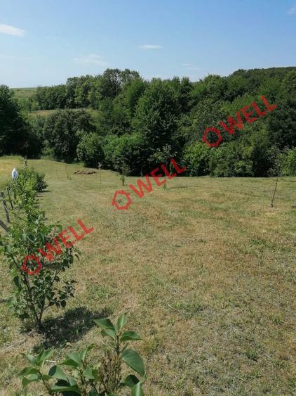 Teren intravilan de vânzare în Calnic! - 4