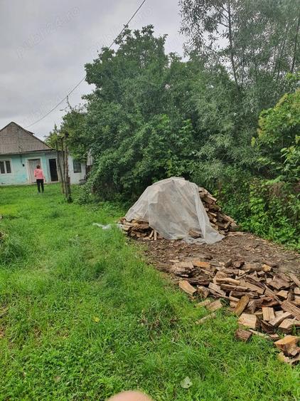 Casa de vanzare Luncasi - 5