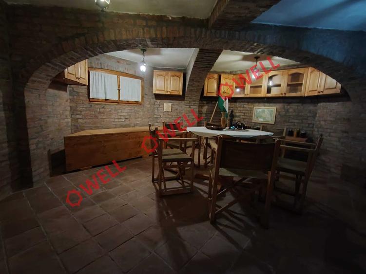 Casă unică de vânzare în Valea Crișului! - 8