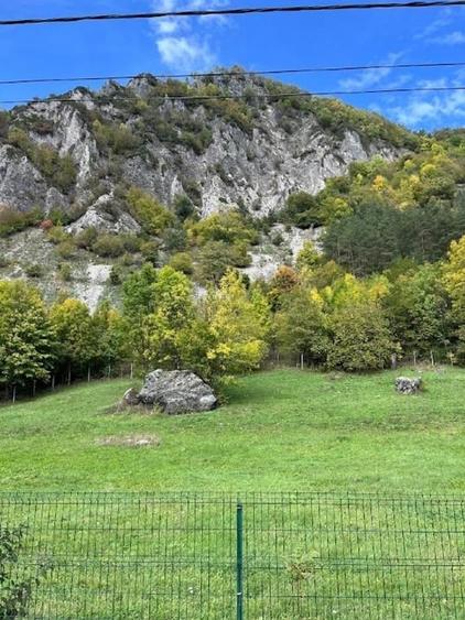 Teren de vânzare în Lepșa – ideal pentru pensiune sau casă de vacanță - 5