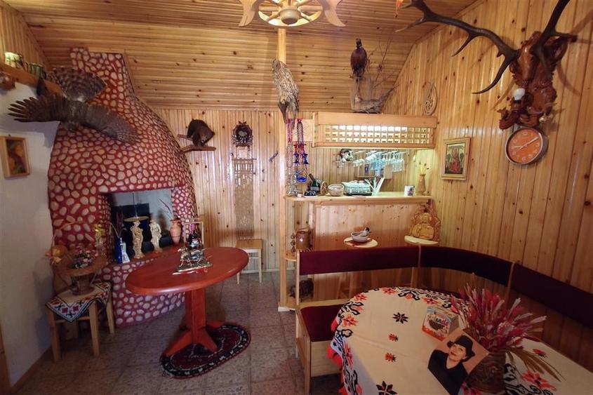 Gospodarie cu teren generos si constructii solide intr-o zona linistita - 16