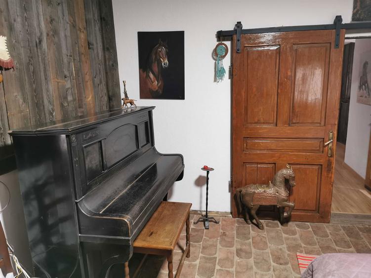 De Vanzare Casuta la Tara - 3