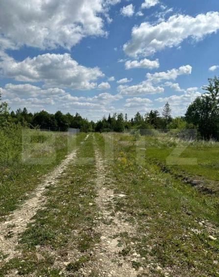 Teren intravilant, 2500 MP, parcelabil , front 25 ml ,Hardic - 3