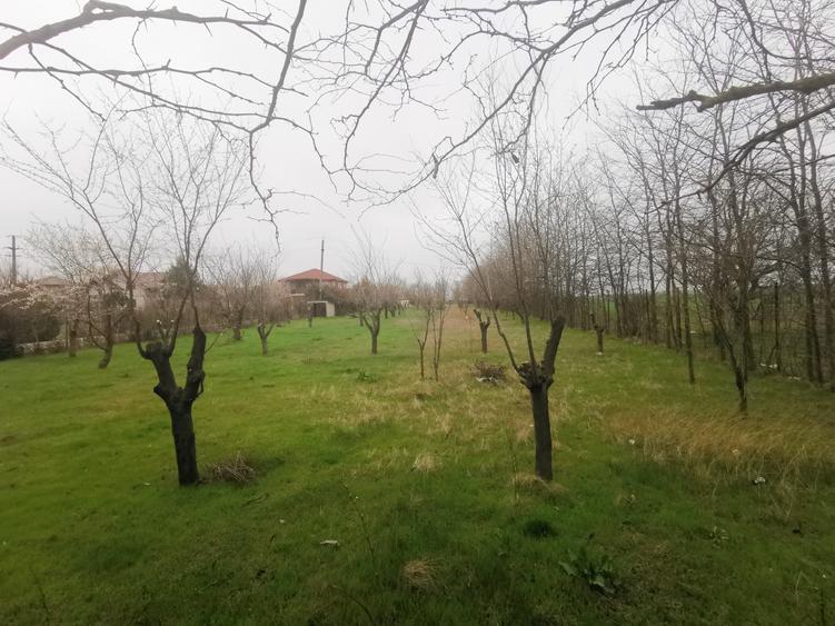 Teren Intravilan Techirghiol 4350mp - 1