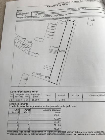 Teren intravilan Dascalu 18.000 m2 - 5
