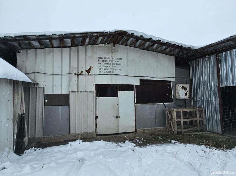 Ferma Calugareni 11860 mp 100 000 Euro - 10