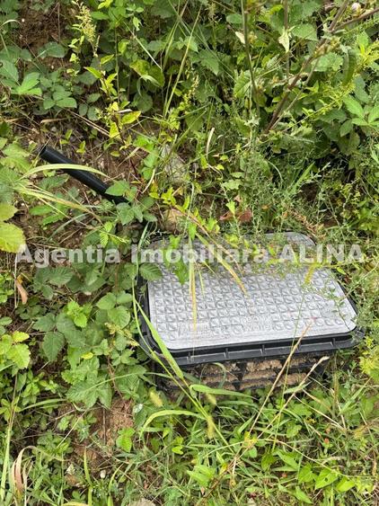 Teren intravilan 4.664 mp in Satul Boholt din Comuna Soimus, Jud. Hunedoara. - 2