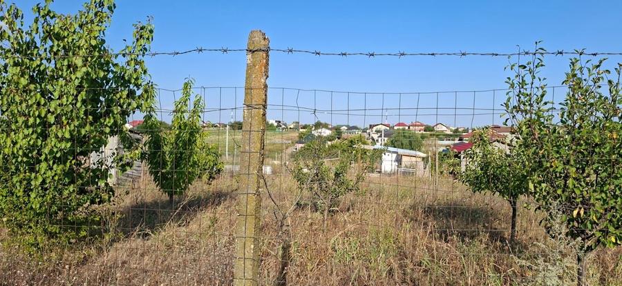 Teren casa Sat Costi (Galati) - 3