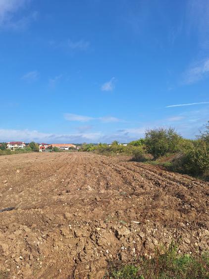 Teren intravilan Mogosoaia- 7 Loturi-Suprafata totala 5180 mp-Deschidere Lac - 6