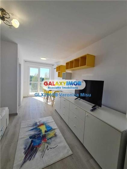 Garsoniera de inchiriat - Hils -Theodor Pallady - 1