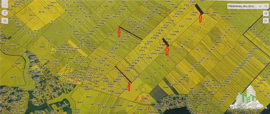 Oferim spre vanzare 5 loturi de teren extravilan (agricol) in Petrachioaia ILFOV la doar 5 euro mp. - 2