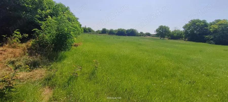 Teren intravilan Lovrin de vanzare - 3