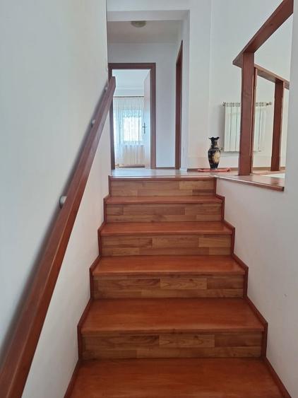 Giurgiu, vila cu padure proprie, izvor si iaz pe 19.900 mp teren - 16