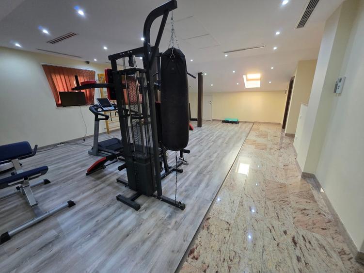 Timpuri Noi, 10 minute metrou, pe Cuza Voda, vila exclusivista P+1+M, lux, - 42