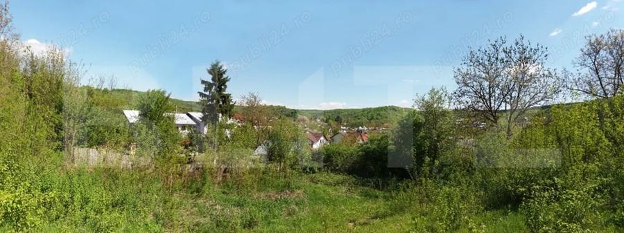 Teren Construcții intravilan de 800 mp, în Viforâta