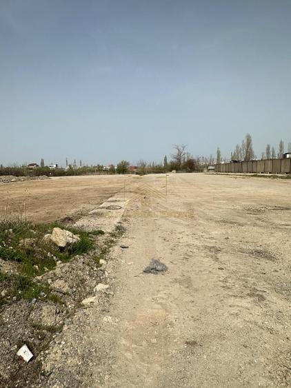 Spre Vanzare - Teren Intravilan - Vitanul Nou - Palady - 1