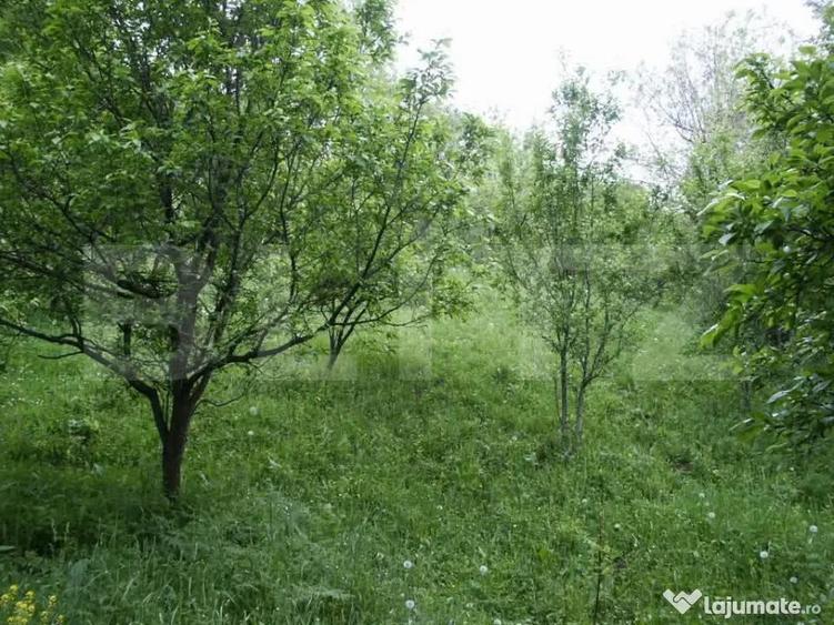 Teren de vanzare, 884 mp, zona Runcu - 7