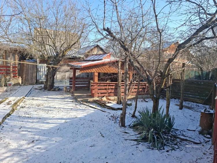 Casa la curte Lalosu, Portaresti VL - 1