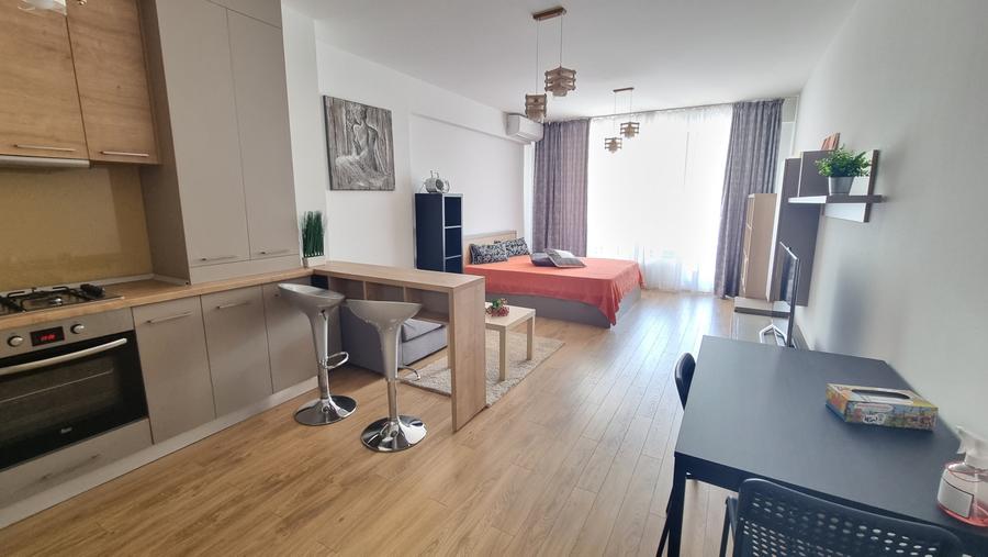 Iancu Nicolae/Residence 5 /Studio elegant / - 1