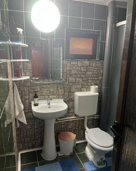 Casa Vladesti ?arina - 14