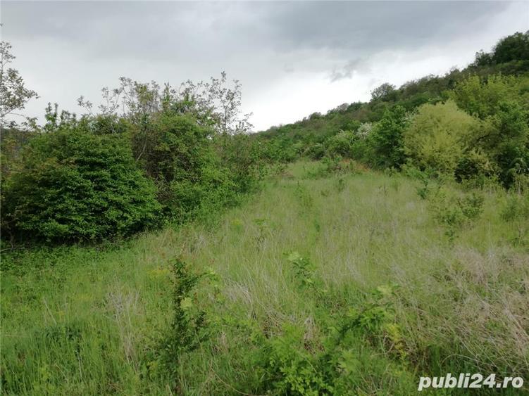 Vand 45 ari de teren intravilan la Viile Budiului - Tg.Mures - 3