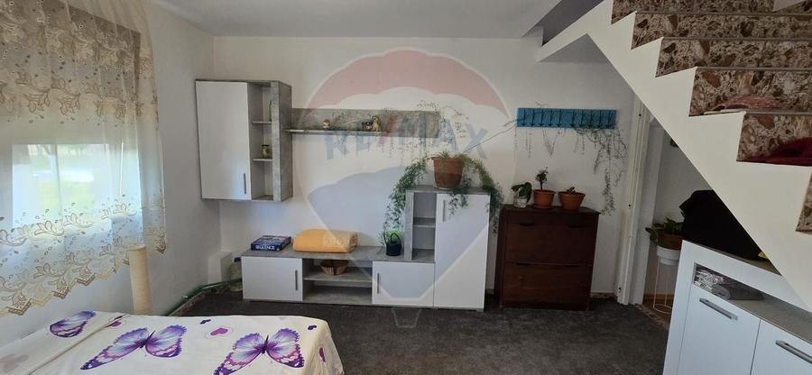 Casa cu mansarda in MIȘCA  jud Arad - 25