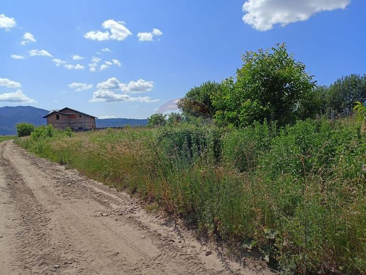 COMISION 0%! Teren 712mp Sacele / Strada Postavarului - 9