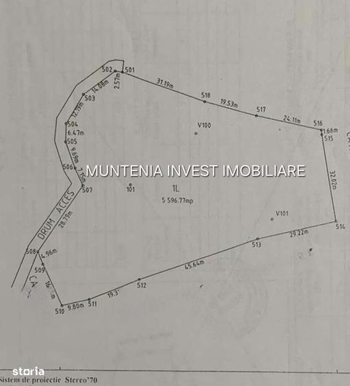 Teren 5596 mp. Com.Bradulet ,sat Galesu. - 7