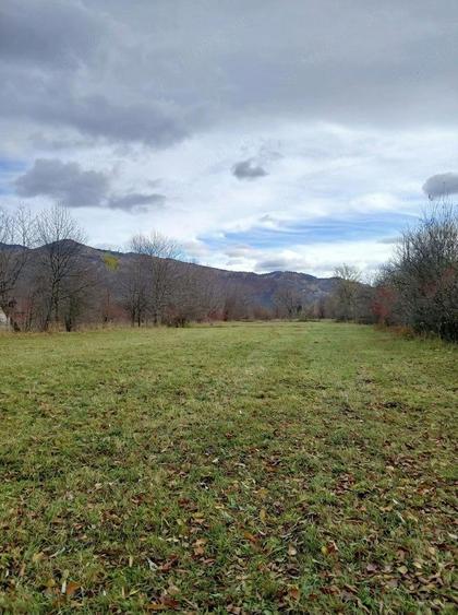 Vand teren in Sat Sulta, com. Agas, Bacau - 5