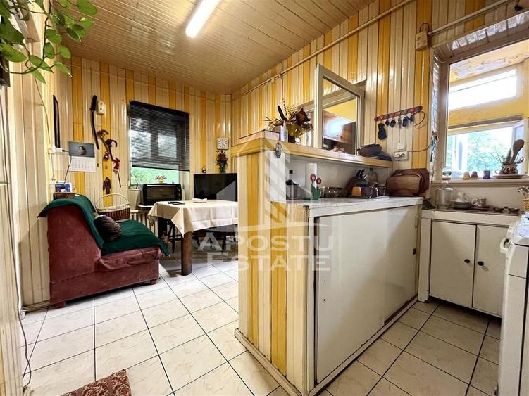 Casa individuala cu 6 camere situata in zona Elisabetin - 6
