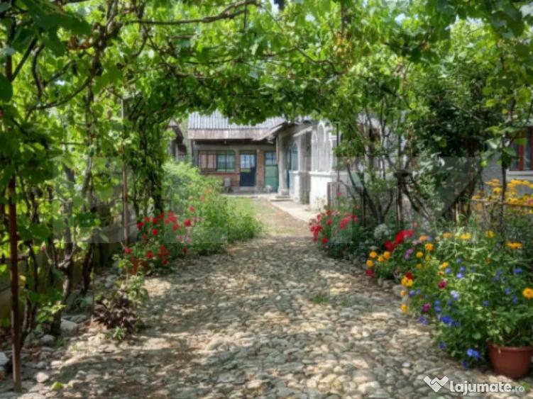 Gospodarie Completa, 130 mp, 1.300 mp Teren, Doice?ti - 11