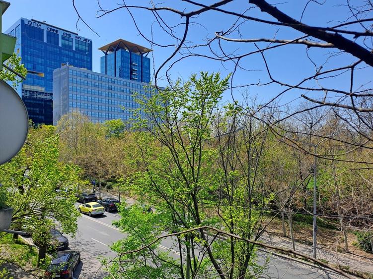 Ceaicovski | Calea Floreasca - 1