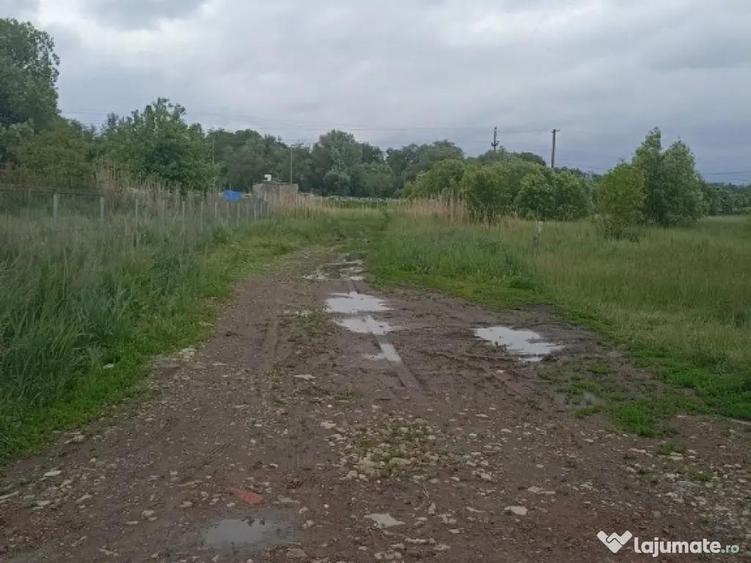 De vanzare teren intravilan construibil in Sfantu Gheorghe - 10