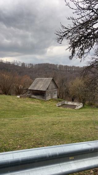 Vand grajdi cu casa - 1