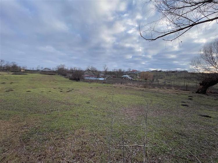 Teren de vanzare in Frecatei Tulcea - 9