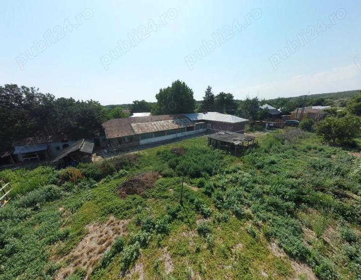 Casa comuna Crivat,Jud Calarasi - 4