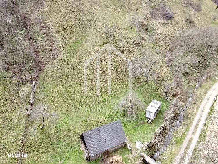 Teren intravilan + faneata, ideal pentru investitie - Rau Sadului - 8