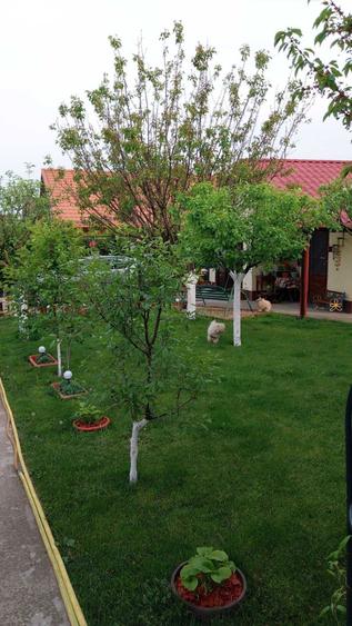 Casa de Vanzare Buftea - 3